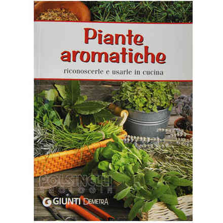 Aromatische Pflanzen: Wie man sie erkennt und in der Küche verwendet