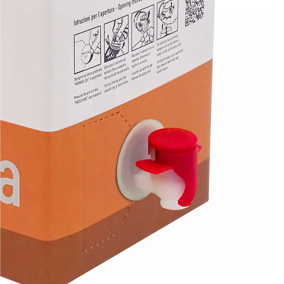 Bag in Box APFELSAFT mit Beutel 5 L (10 Stück)