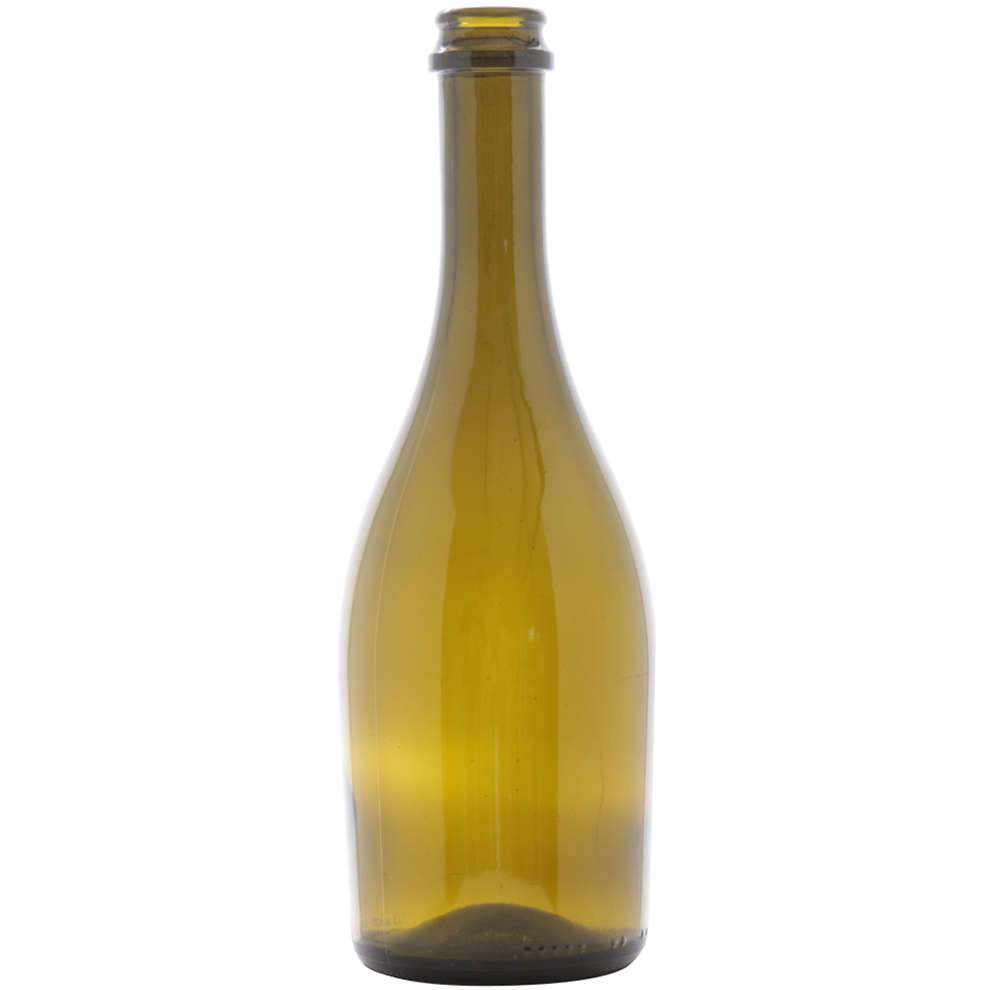 Bottiglia per birra Friz 500 mL (20 pezzi) 