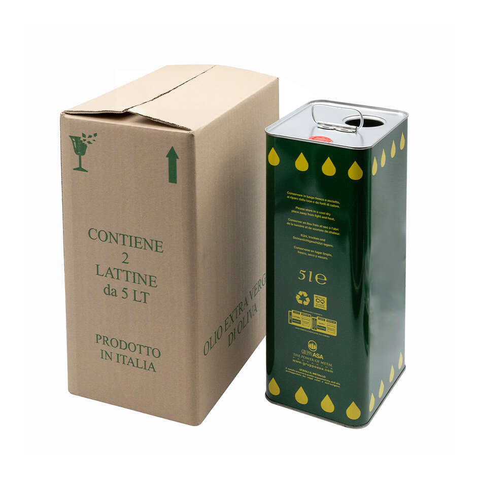 Caja para 2 latas de aceite de 5 L (10 unid)