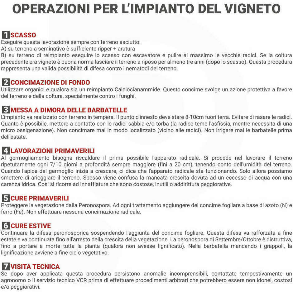 Cabernet Franc Stecklinge (10 stück)