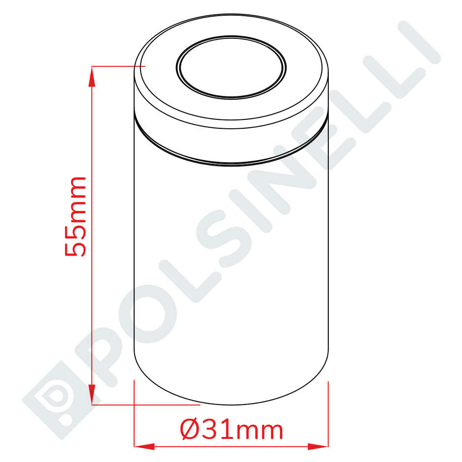 Capsule en PVC transparente ⌀31 (100 pcs)