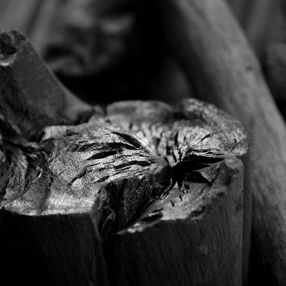 Carbone per barbecue Binchotan White Eucalyptus da 5 kg