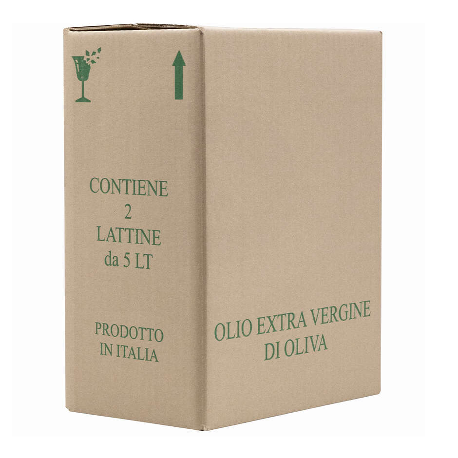 Carton pour 2 canettes d'huile 5 L (10 pcs)