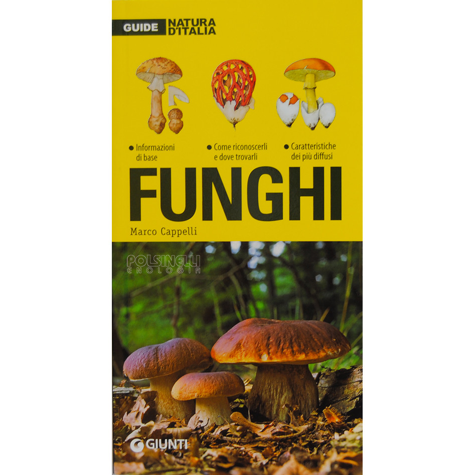 Champignons
