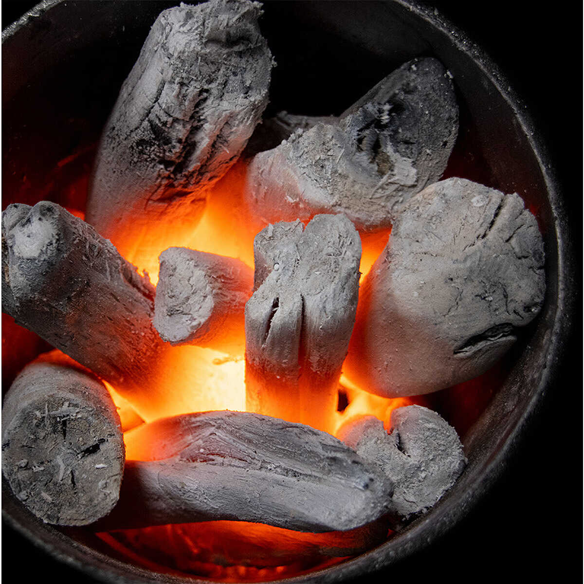 Démarreur De Cheminée Leapiture - Baril En Inox Avec Poignée Bois, Pour Allumer Charbon, Bois, Barbecue
