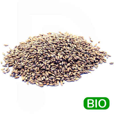 Château Acid BIO Getreidemalz 6-12 EBC (1 kg) 