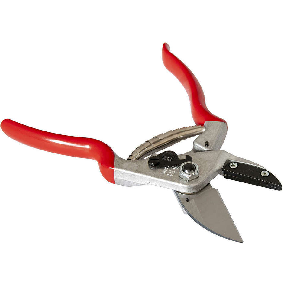 Ciseaux Felco 31 + Outil d'Affûtage Felco 906