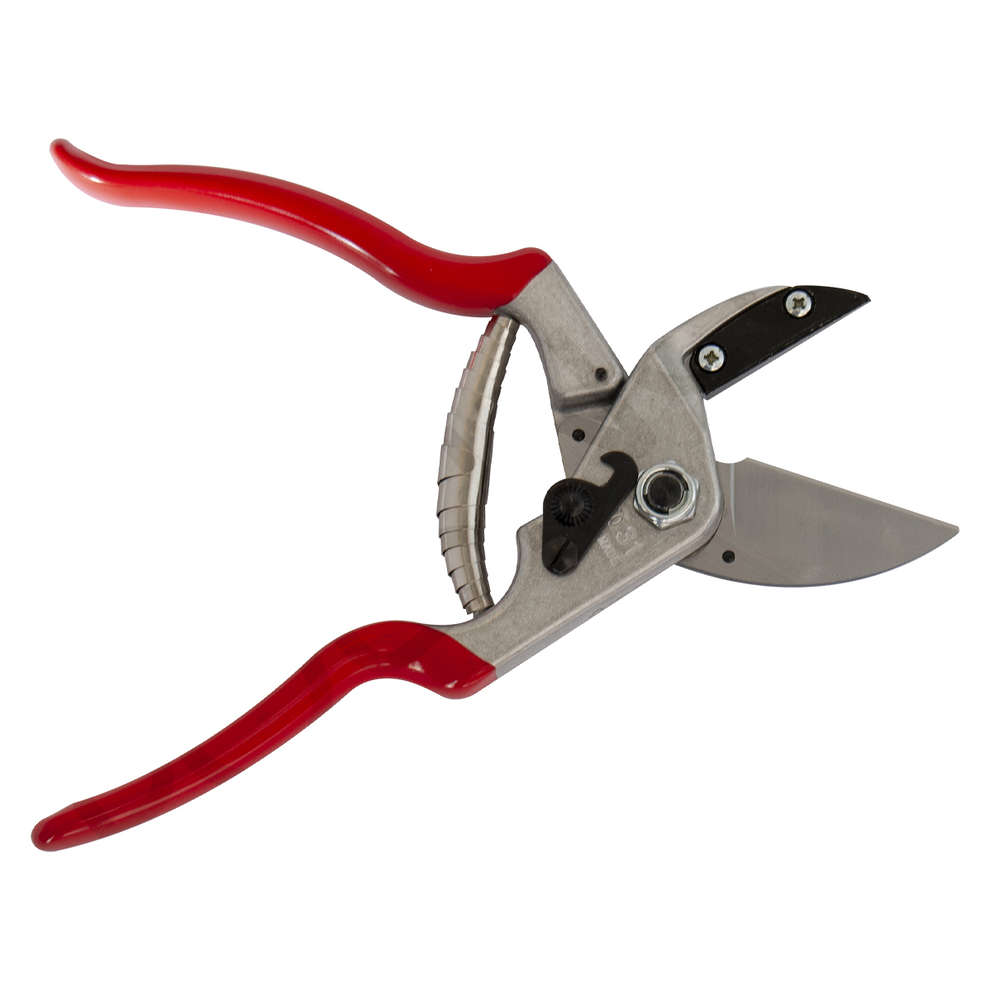 Schere Felco 31