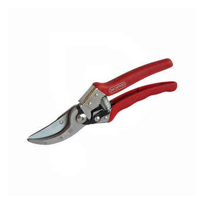 Ciseaux vigne Archman