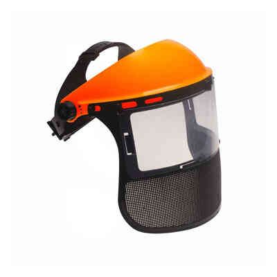 Combined polycarbonate and mesh protective visor