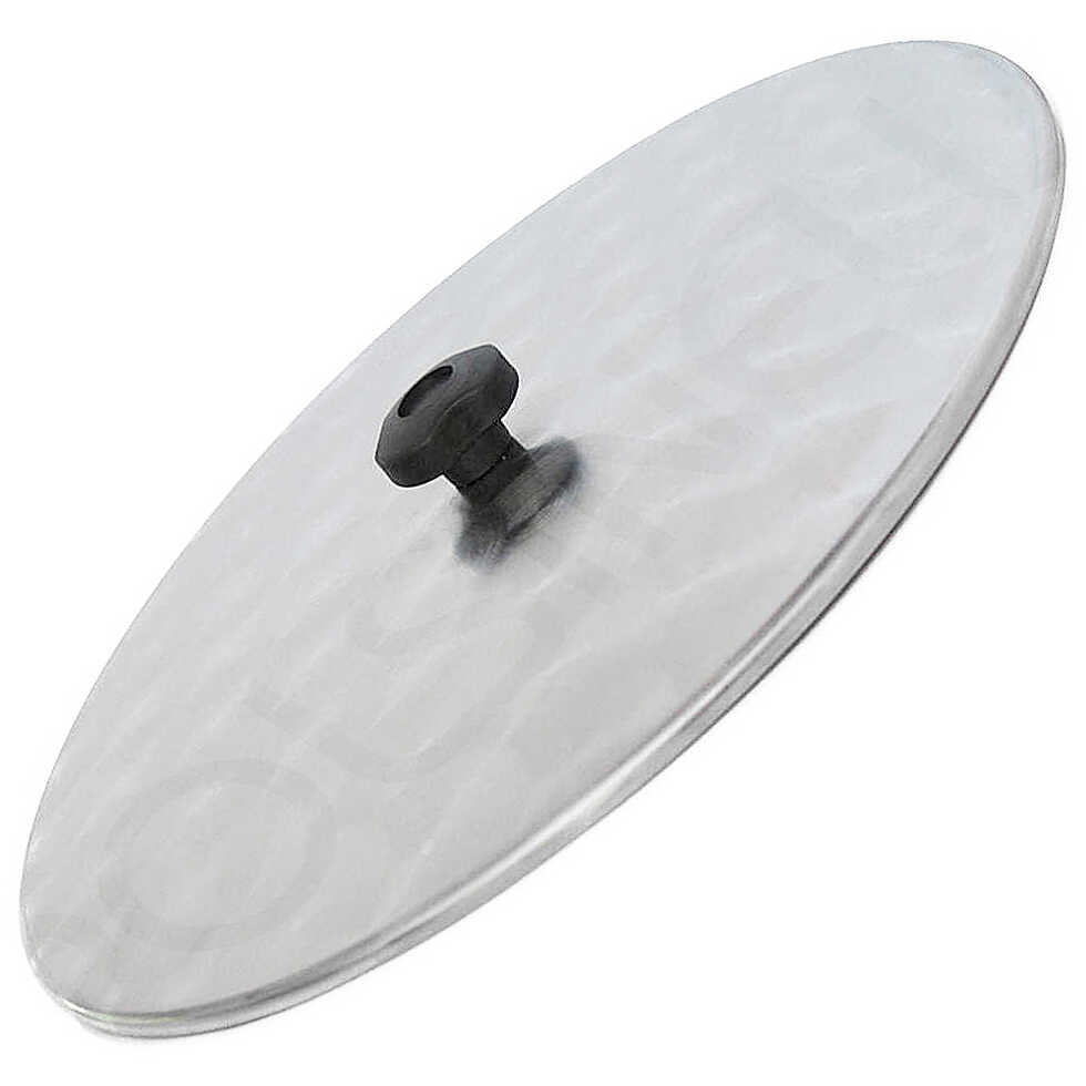 Pinti Inox Professionale Coperchio, Acciaio Inossidabile, Argento, 18 x