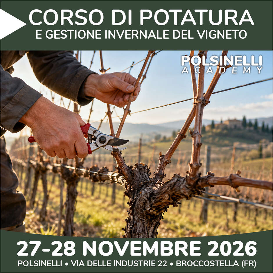 Corso di Potatura e gestione invernale del vigneto 