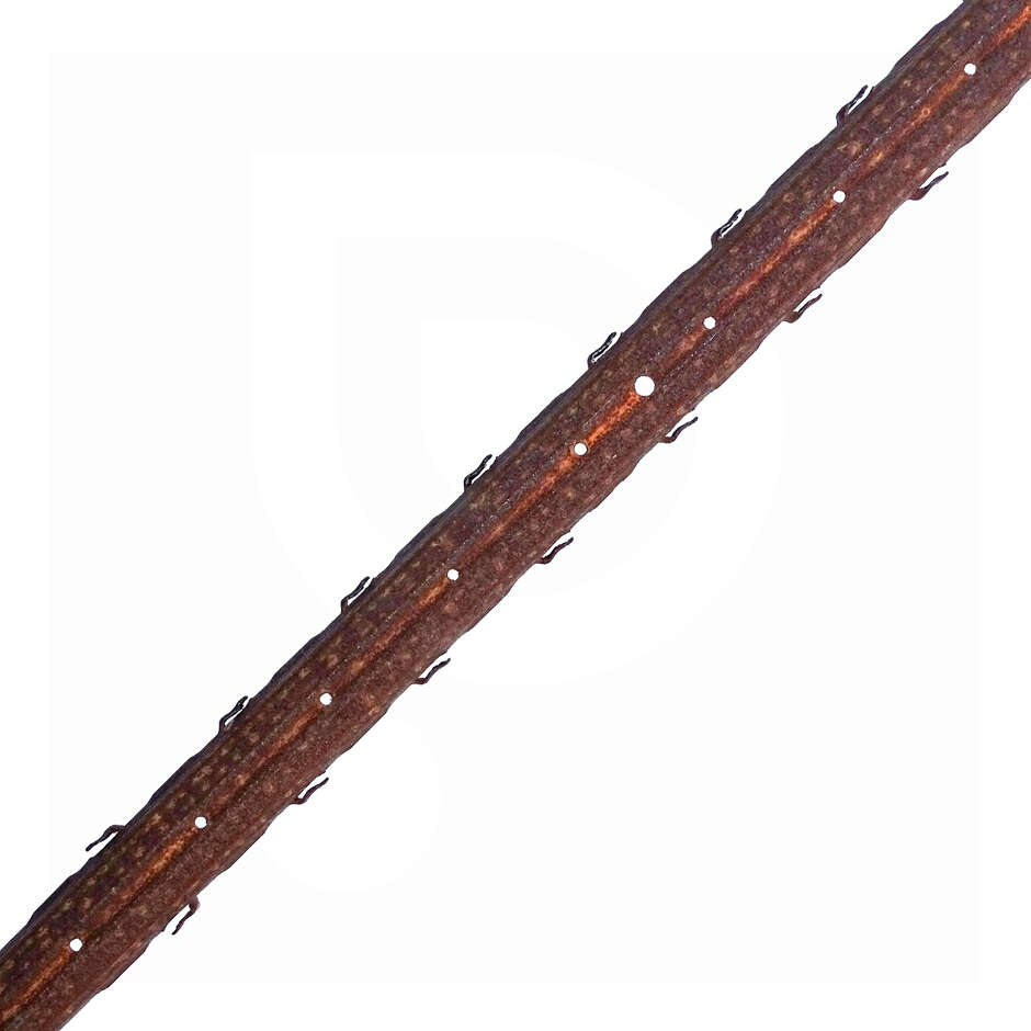 Corten intermediate vineyard pole - 2,5 mt - 1,55 mm (5 pieces)