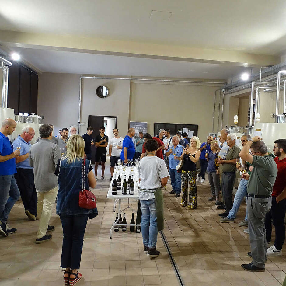 Curso de Enologia Nível 1, 4 e 5 de setembro de 2026