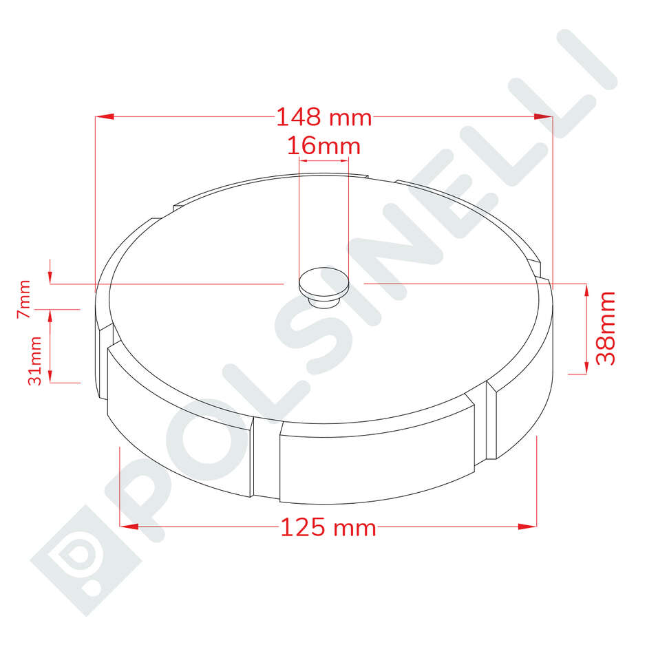 DIN 100 Female Stainless Steel Cap with Gasket and Chain