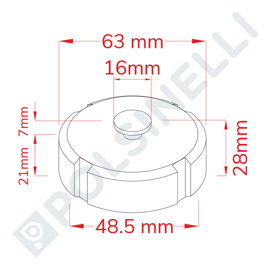 DIN 25 Female Stainless Steel Cap with Gasket and Chain