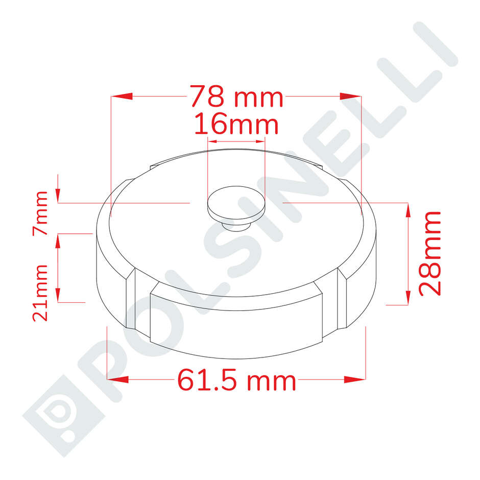 DIN 40 Female Stainless Steel Cap with Gasket and Chain