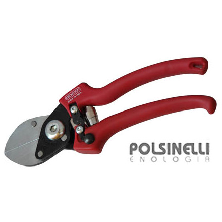 Forbicia Felco 2-6-8-11-13-30 - Sicilycommerce