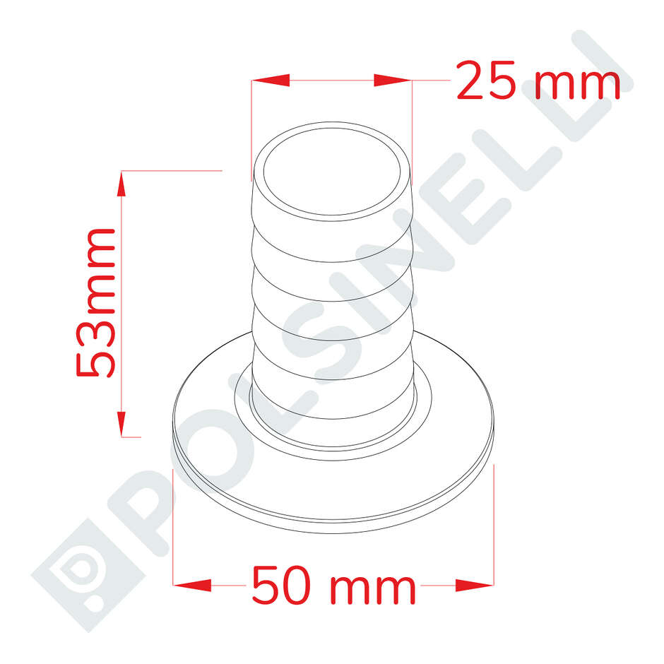 Espiga para manguera inox CLAMP 1"1/2 PG25