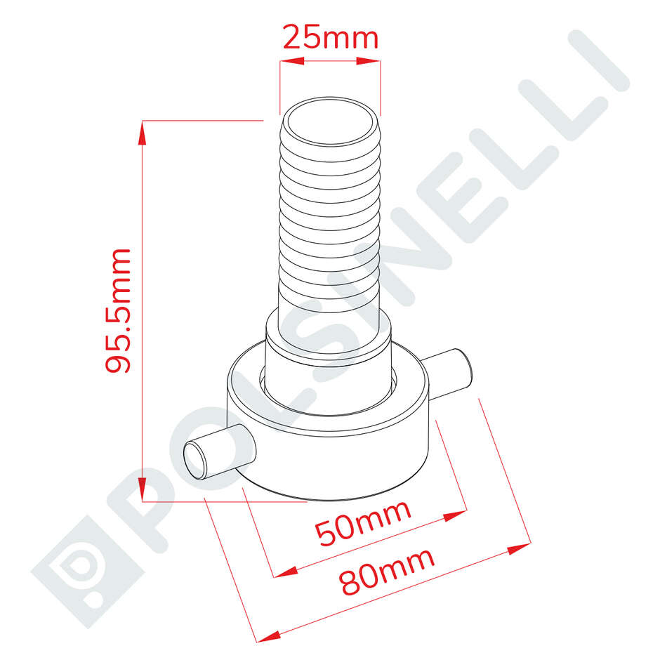 Espiga recto en acero inox ENO 30 (rosca italiana) PG 25