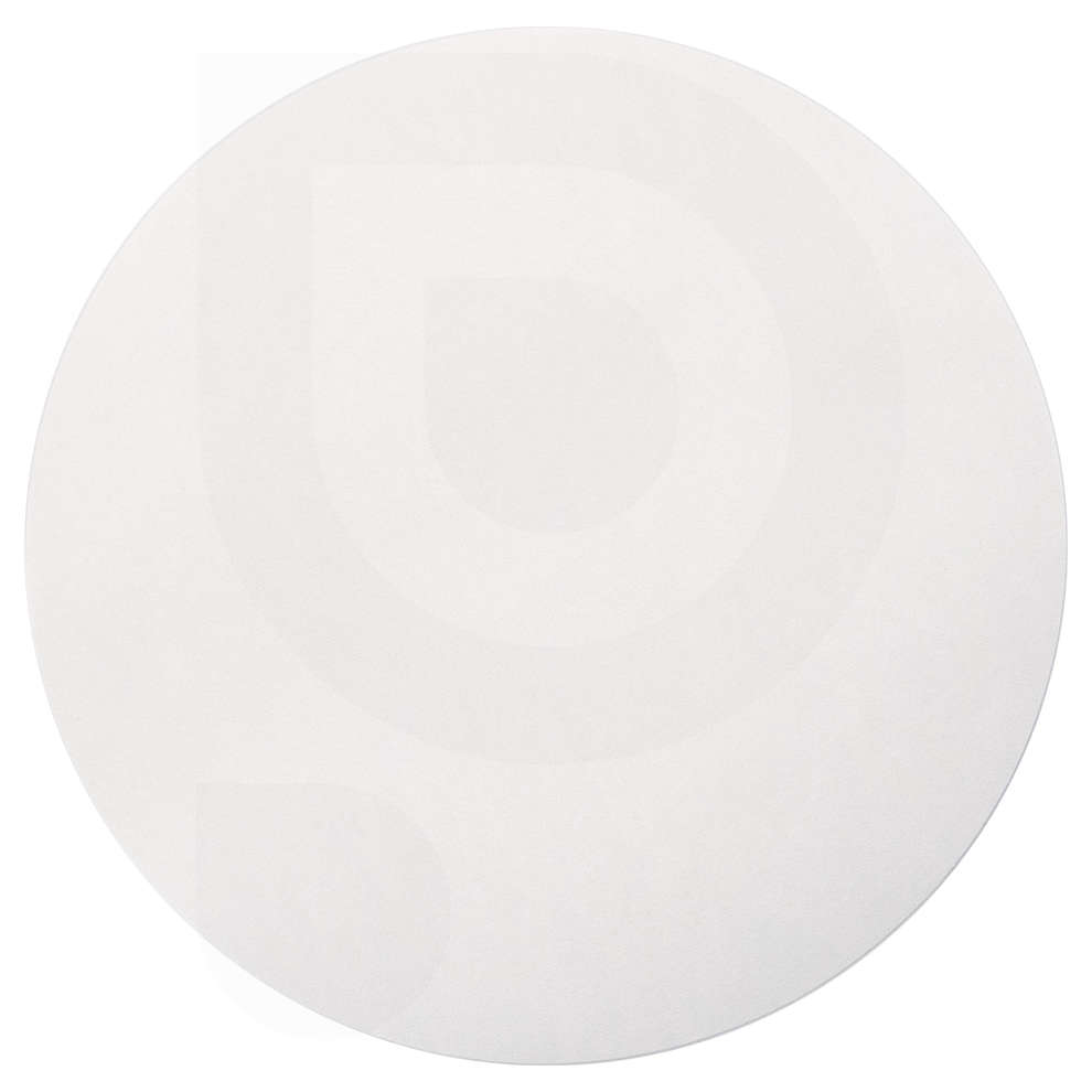 Filtre à disque lisse Ø 250 (100 pièces)
