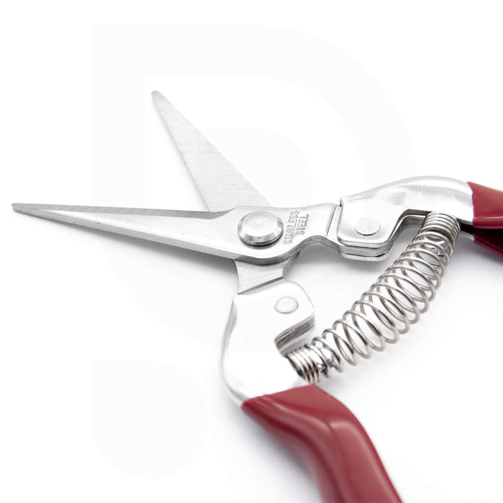 Forbice Archman con lama dritta inox per vendemmia e giardino