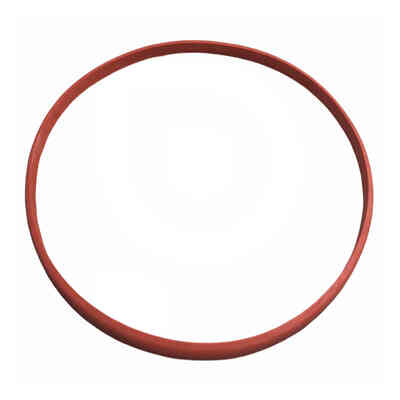 Gasket for 120 and 200 L Stainless Steel Tank with Clamp