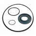 Gasket kit for FLEXI 50 pump 
