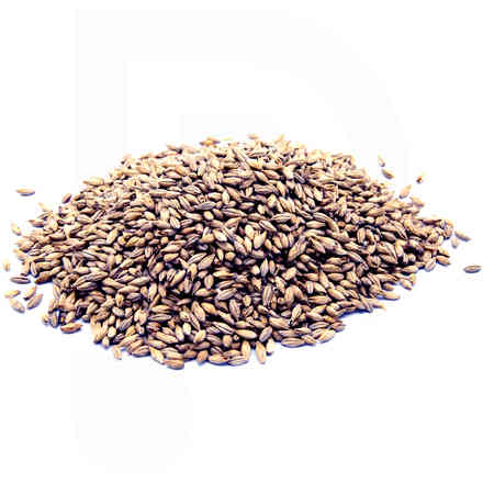 Grains de malt Château Acid (1 kg)