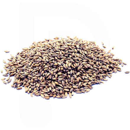 Grains de malt Château Acid (5 kg)