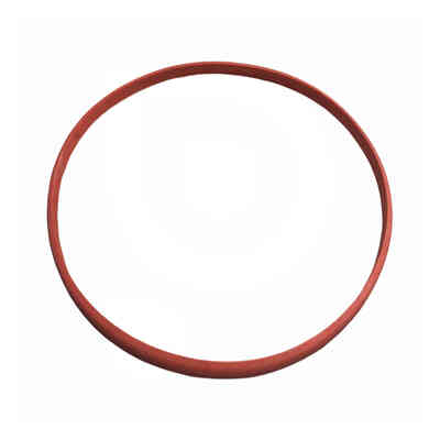 Guarnizione per Serbatoio Inox a Fascetta 75 L 