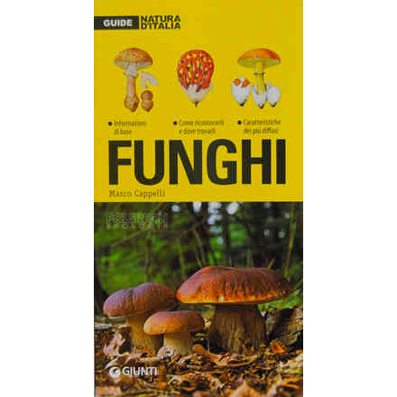Hongos