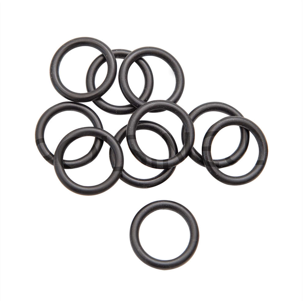 Kit guarnizione OR per PG 20 (10 pezzi) 