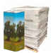 Lata para aceite 3 L Albero (440 unidades)