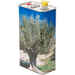 Lattina per olio 5 L Albero con tappo rosso di sfiato (12 pezzi) 