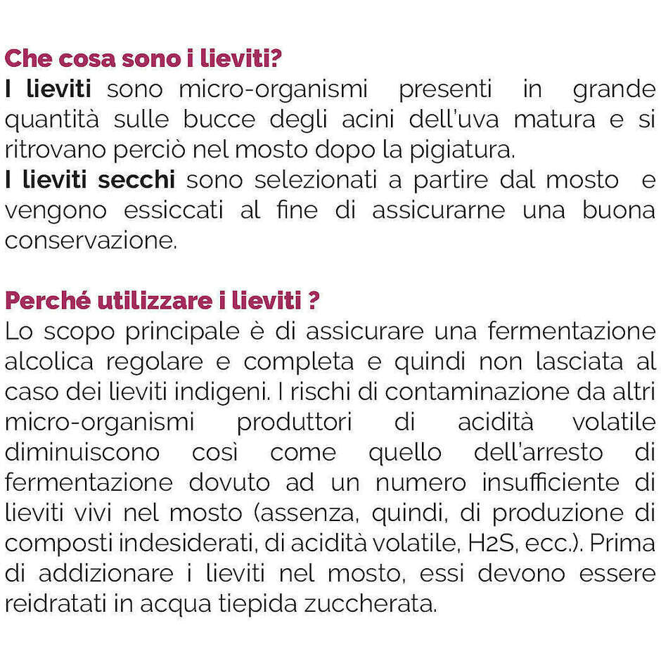 Lievito Egide (500 gr)