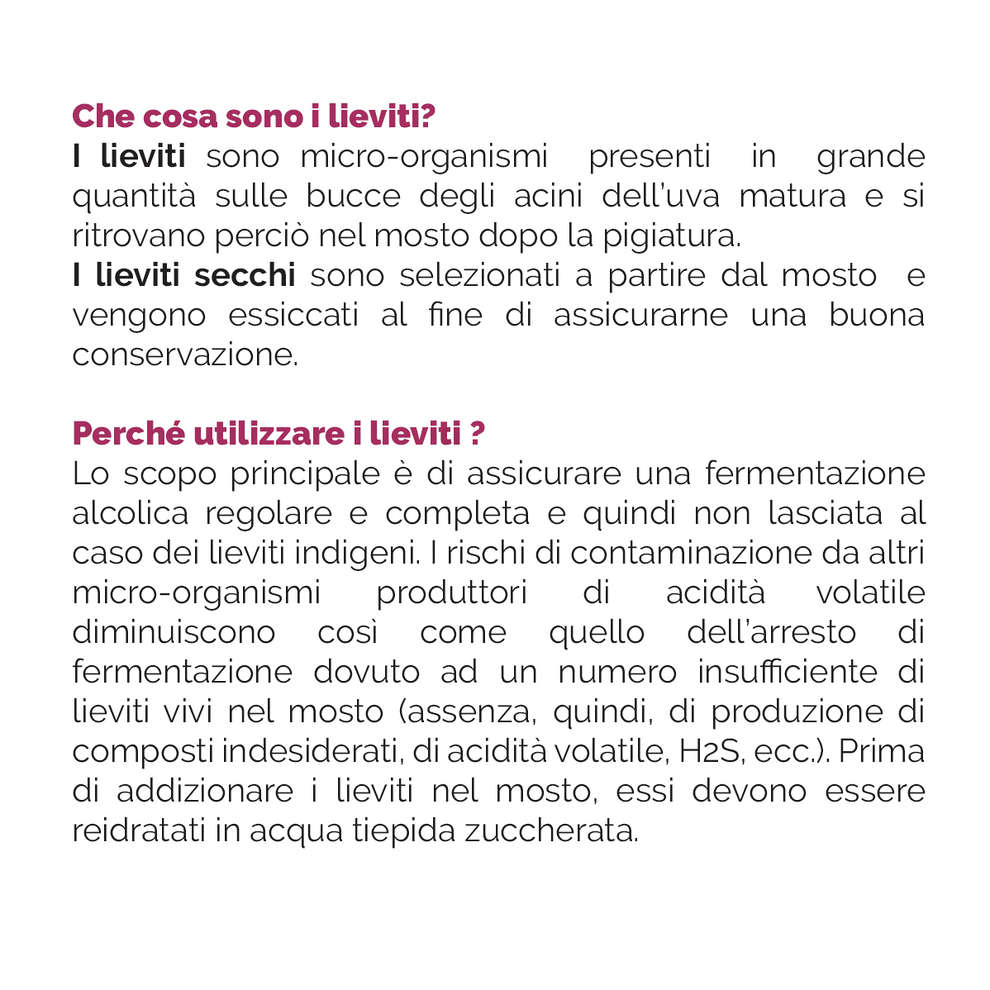 Lievito per vini aromatici Actiflore BO213 (500 g)