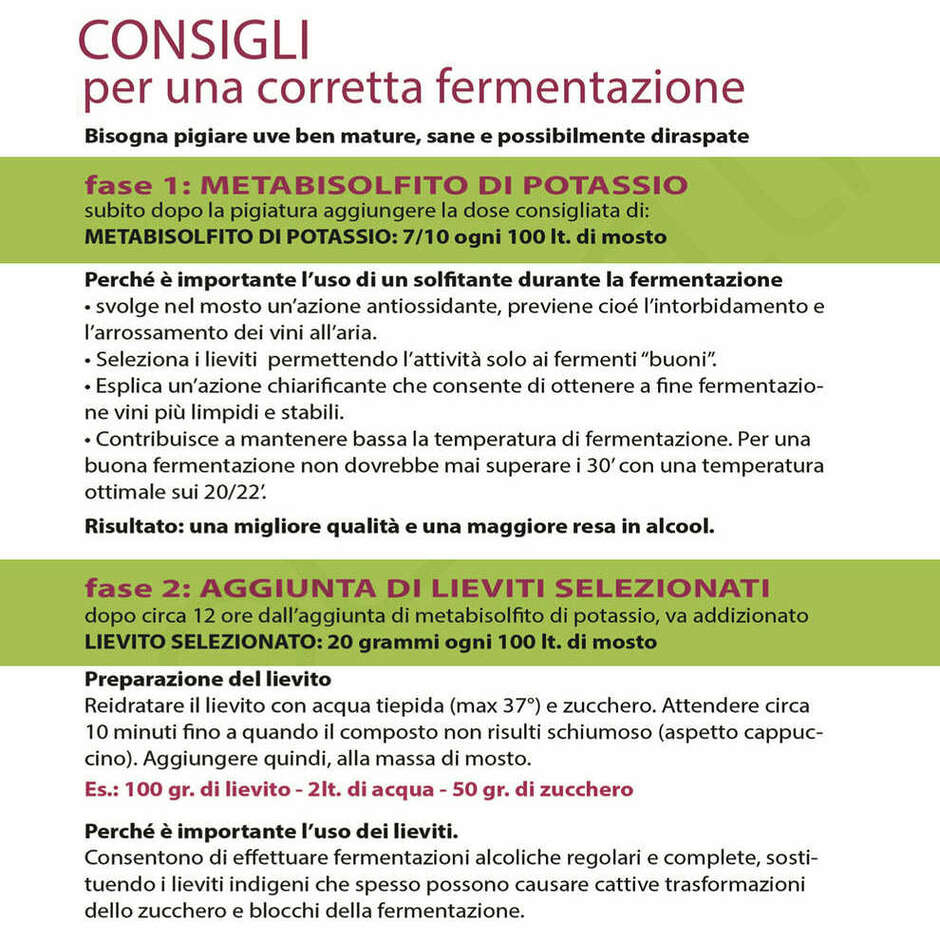 Lievito per vini rossi Zymaflore RB2 (500 gr) 
