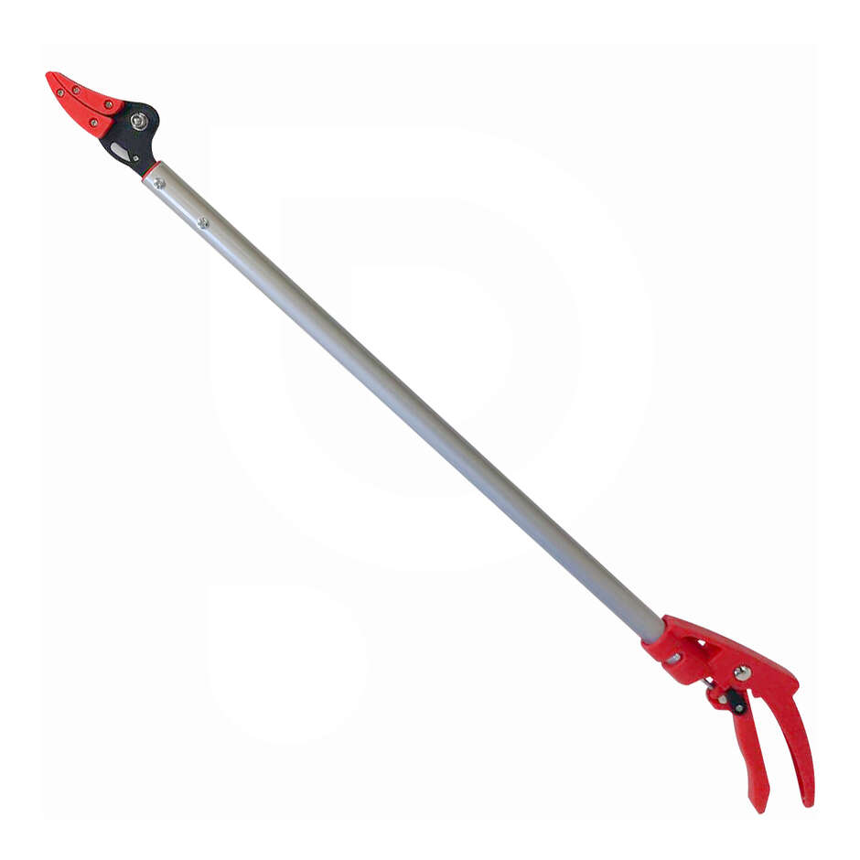 Long shaft pruning shears for asparagus - 800 mm