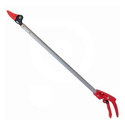 Long shaft pruning shears for asparagus - 800 mm