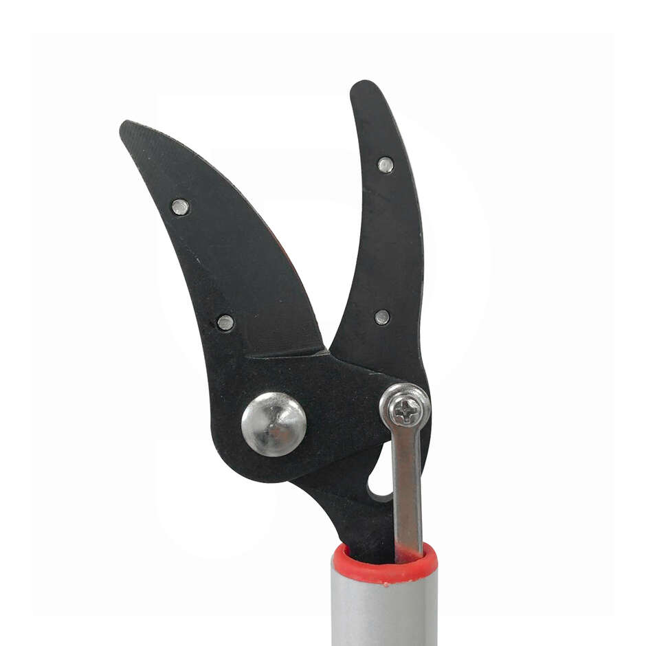 Long shaft pruning shears for asparagus - 800 mm