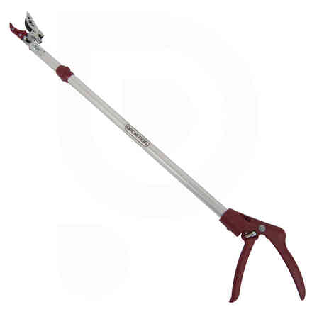 Long shaft pruning shears for asparagus - 830 mm