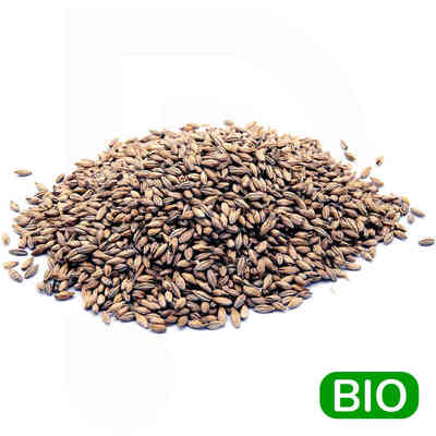 Malt in grains Château Cara Wheat BIO Blond Nature (5 kg) 