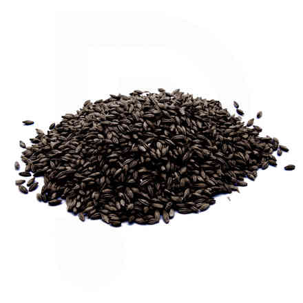 Malt in grains Château Chocolat 900 EBC (5 kg)