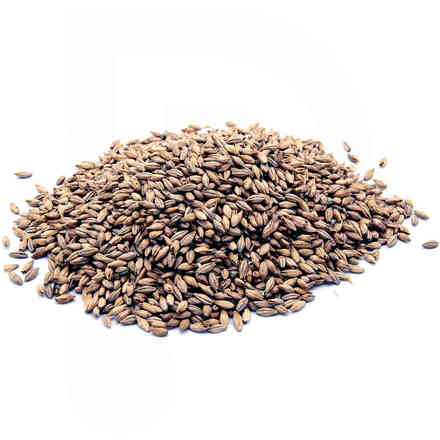 Malt in grains Château Biscuit - EBC 50 (1 kg)