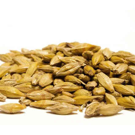 Malt Wheat Blanc (5 kg)