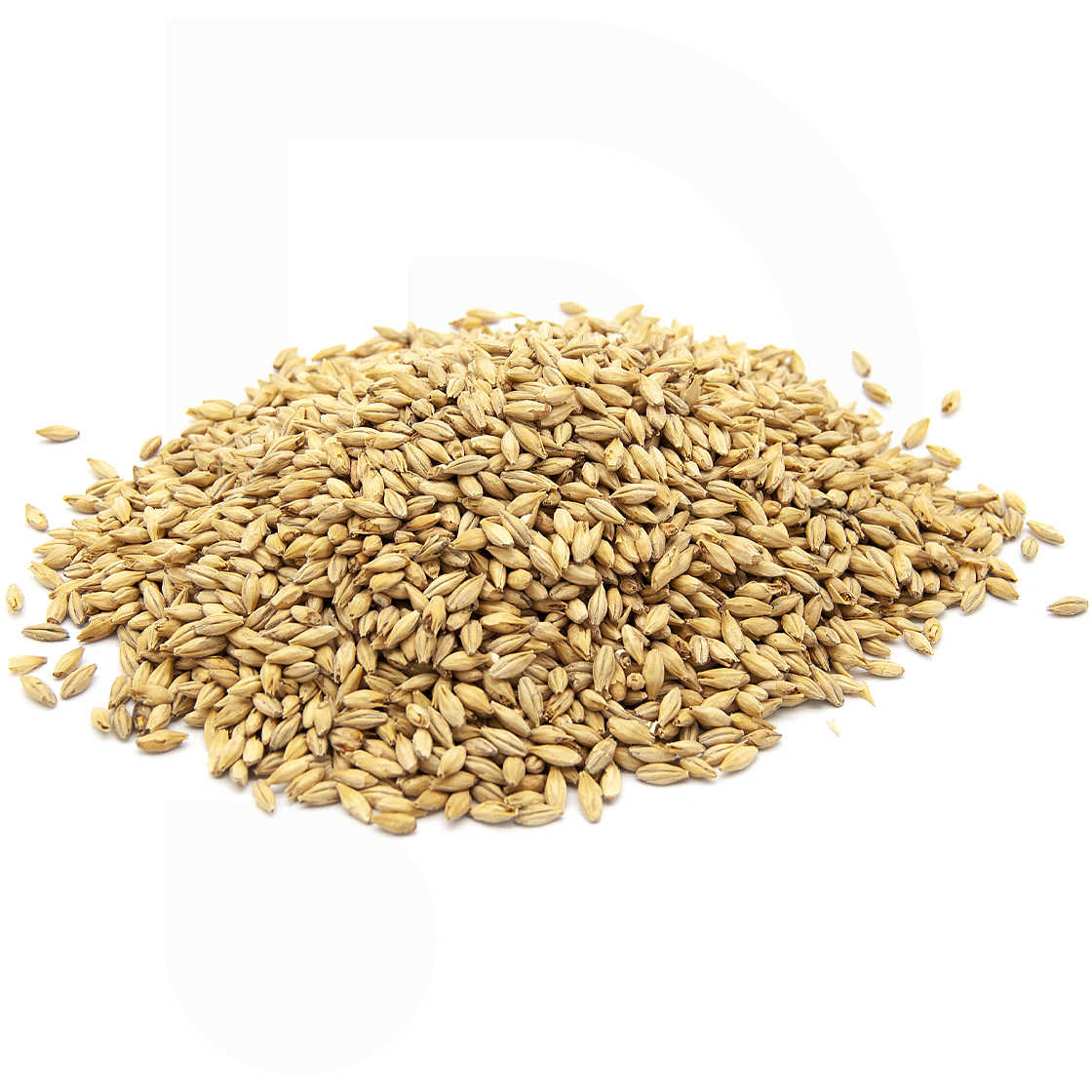 malta-de-grano-ch-teau-pilsen-2r-3-5-ebc-5-kg-cerveza-polsinelli