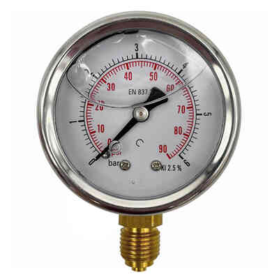 Manometro inox radiale DN50 1/4" 