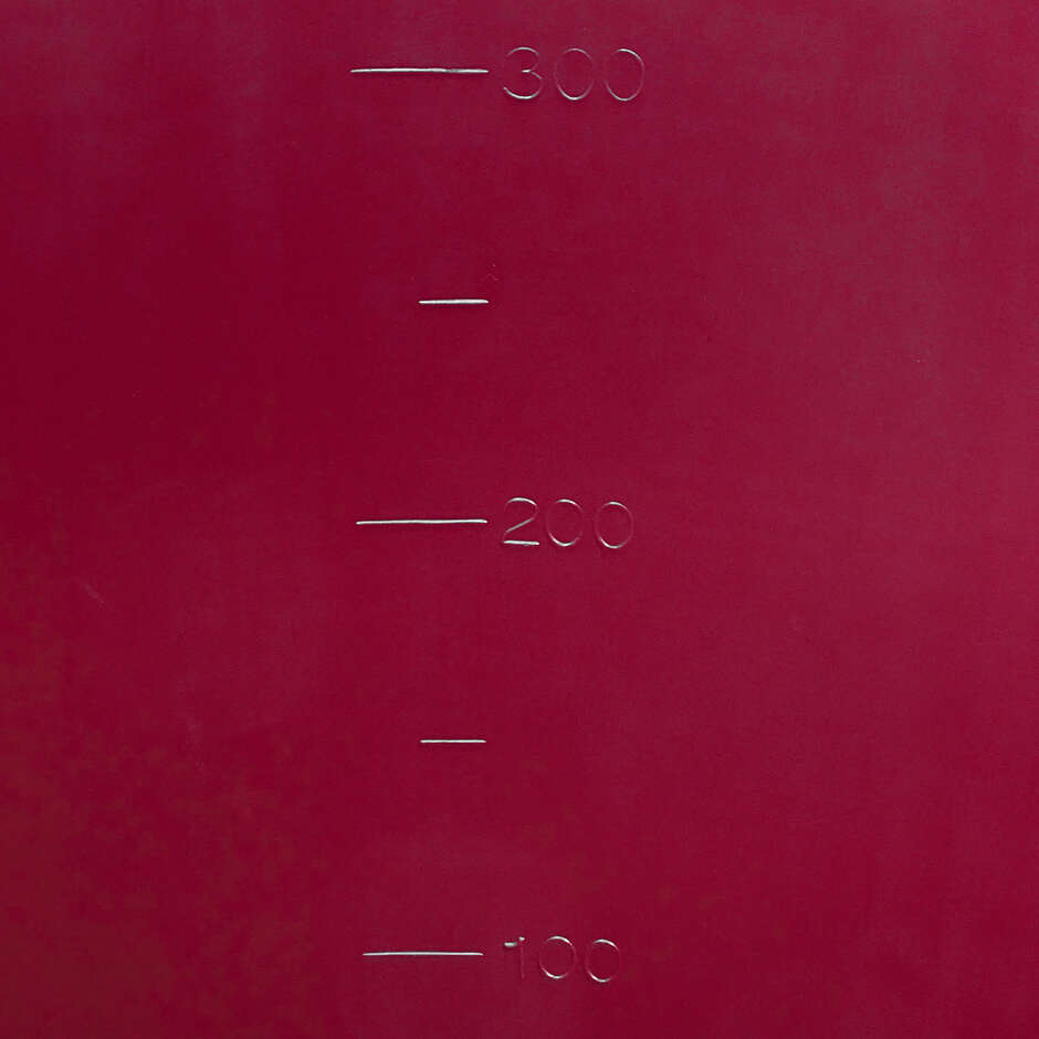 Mastellone Vinaccia in Plastica da 500 L